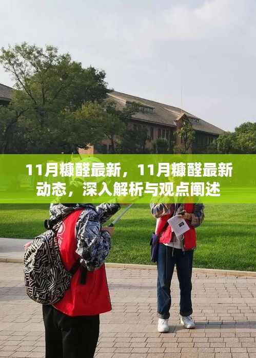 深度解析与观点阐述,11月糠醛最新动态报告