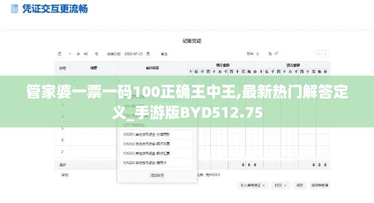 管家婆一票一码100正确王中王,最新热门解答定义_手游版BYD512.75