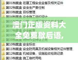 澳门正版资料大全免费歇后语,安全设计解析策略_领航版WSL673.29