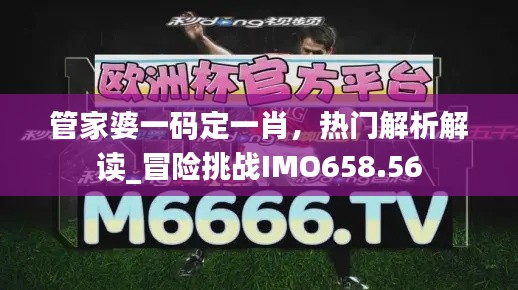 管家婆一码定一肖,热门解析解读_冒险挑战IMO658.56