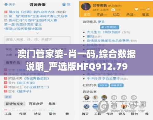 澳门管家婆-肖一码,综合数据说明_严选版HFQ912.79