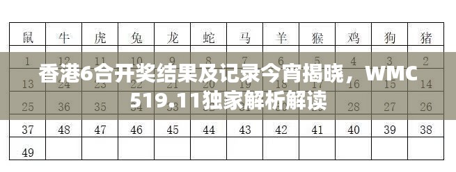 香港6合开奖结果及记录今宵揭晓,WMC519.11独家解析解读