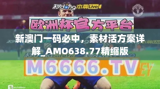 新澳门一码必中,素材活方案详解_AMO638.77精缩版