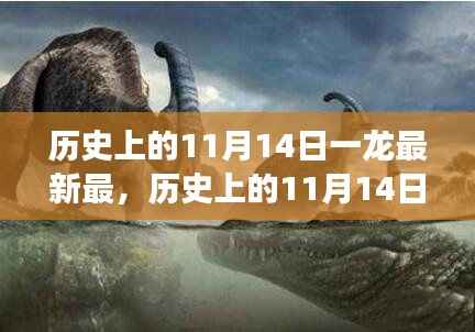 探寻一龙的传奇故事,历史上的11月14日最新回顾与揭秘