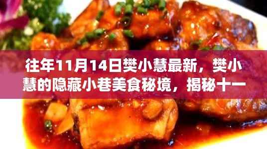 樊小慧隐藏小巷美食秘境,揭秘十一月独特风味的美食之旅