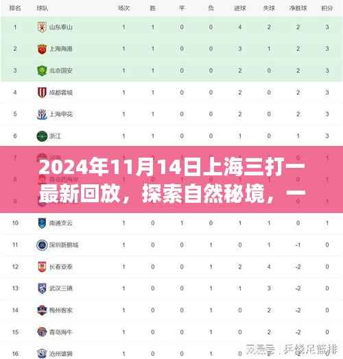 上海三打一启发的探索自然秘境之旅,最新回放与宁静之旅体验