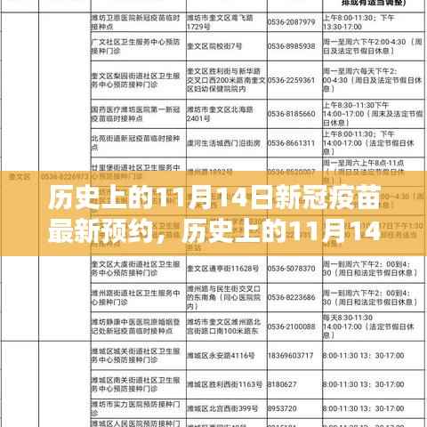 历史上的11月14日新冠疫苗预约盛况与全面评测介绍