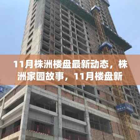 株洲家园故事,11月楼盘最新动态与温馨生活的交织