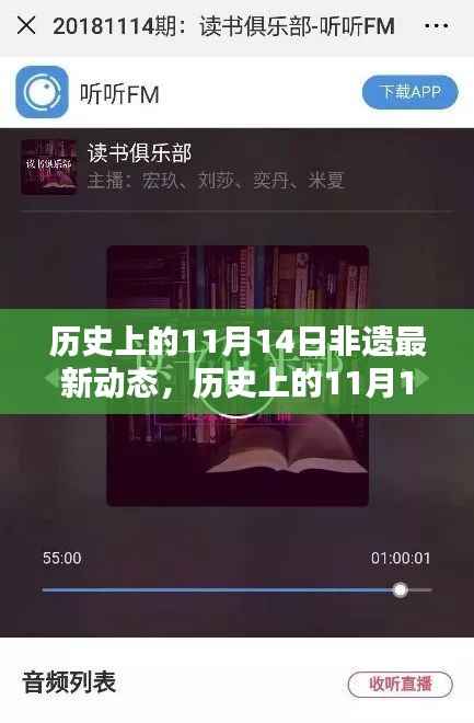 历史上的11月14日非遗最新动态,全面解析与行动指南