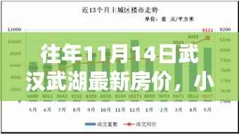 揭秘往年11月武汉武湖最新房价走势与购房新动向,小红书推荐指南