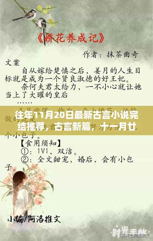 古言新篇完结佳作推荐,友情温馨日常与十一月廿日新篇盘点