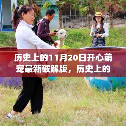 萌宠狂欢日揭秘,破解版上线,自然美景之旅探寻内心宁静与喜悦