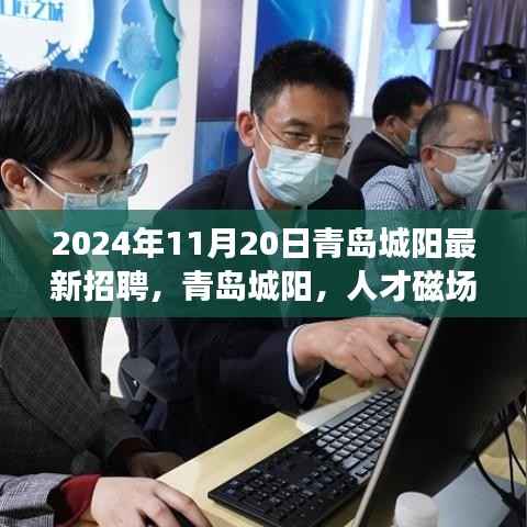 青岛城阳人才磁场涌动,揭秘2024年11月20日招聘盛况