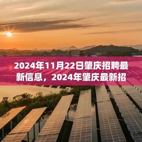 2024年肇庆最新招聘信息汇总,职场人的新选择,11月22日肇庆招聘更新