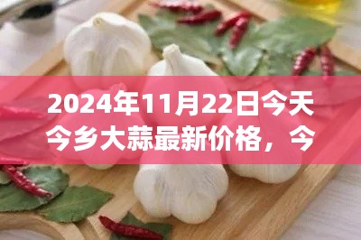 今日今乡大蒜价格揭秘,变迁、影响与新纪元探索