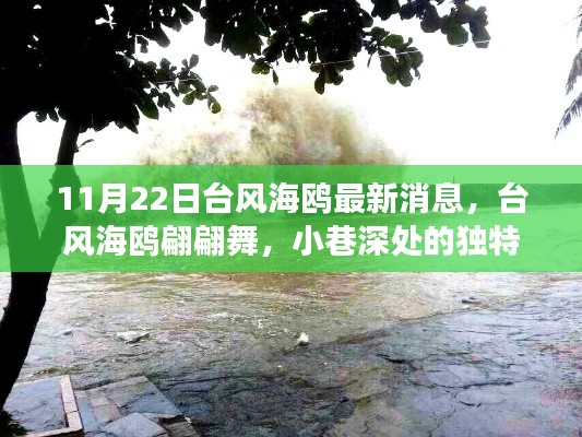 台风海鸥最新动态与小巷美食探秘,翩翩舞动与独特风味体验