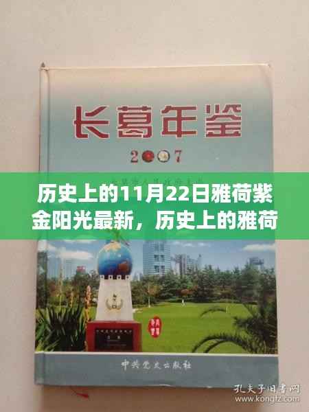 雅荷紫金阳光的历史变迁,学习变化的力量与自信的闪耀历程纪念回顾