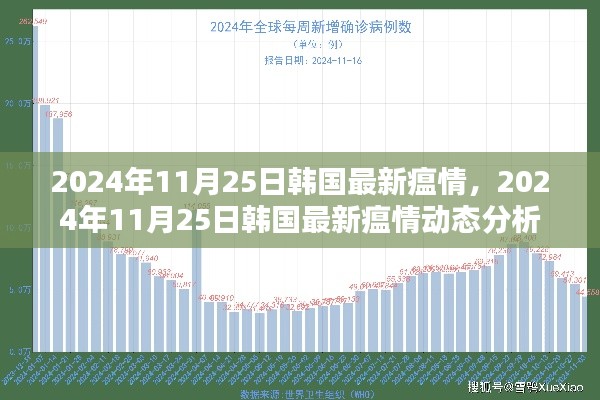 韩国最新疫情动态报告,2024年11月25日的最新分析与观察