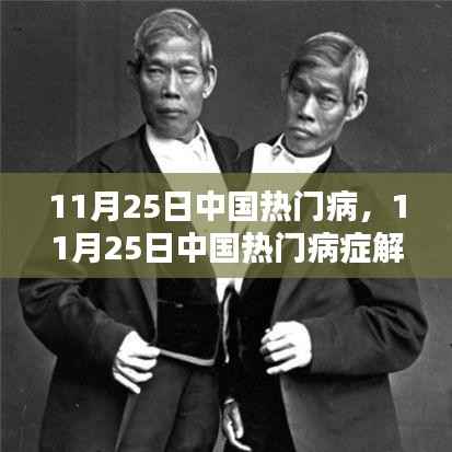 11月25日中国热门病症解析,深度探讨流行疾病及其防治策略