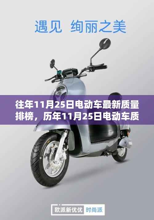 历年11月25日电动车质量排行榜深度解析,性能、体验、竞品对比及用户群体洞察