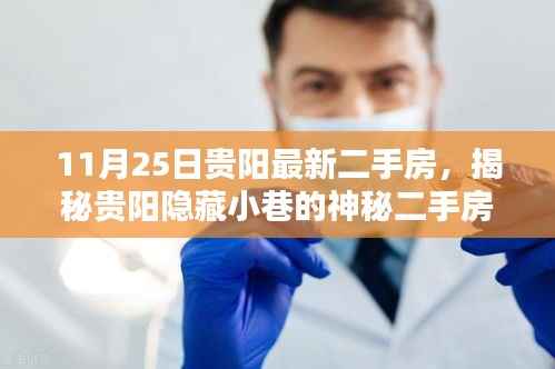 揭秘贵阳隐藏小巷的神秘二手房与特色小店的独特魅力(最新房源发布)