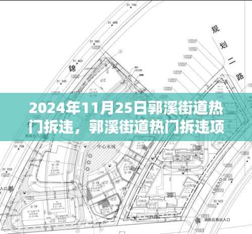 郭溪街道拆违项目深度解析,特性、体验、竞品对比与用户洞察