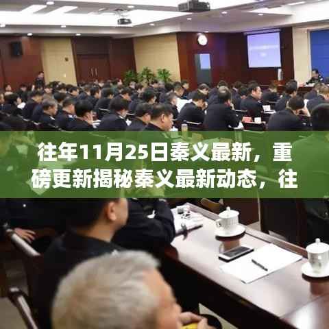 揭秘秦义最新动态,往年11月25日的重磅更新与事件回顾