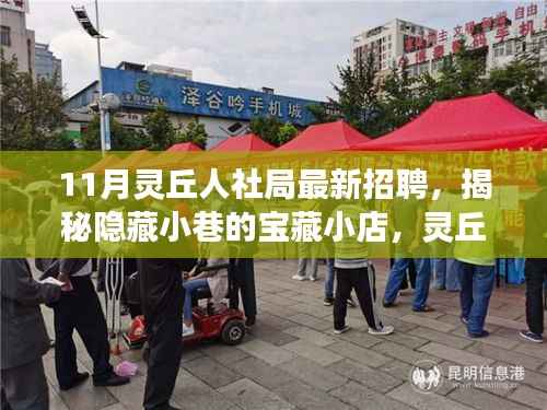 揭秘灵丘人社局最新招聘背后的故事,带你探索宝藏小店与十一月独特风情