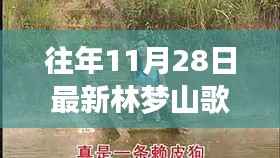 探秘林梦山歌特色小店,小巷深处的宝藏之旅(往年最新歌曲加持)