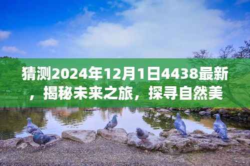 揭秘未来之旅，启程于2024年探寻自然美景的奇妙之旅篇章开启！