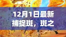 容光焕发 第14页