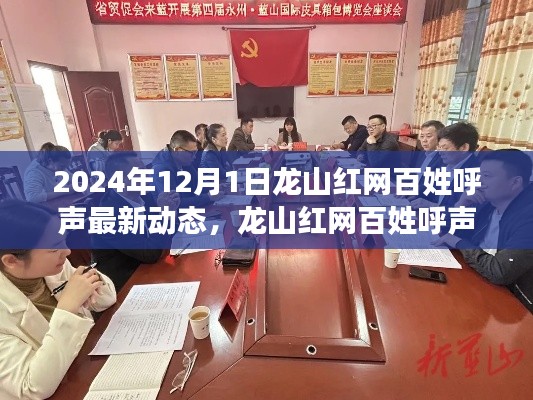 龙山红网百姓呼声最新动态及民意探析,2024年观察下的民意走向报告