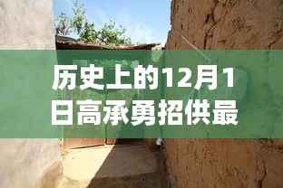 高承勇招供最新动态,十二月一日的进展与深度分析