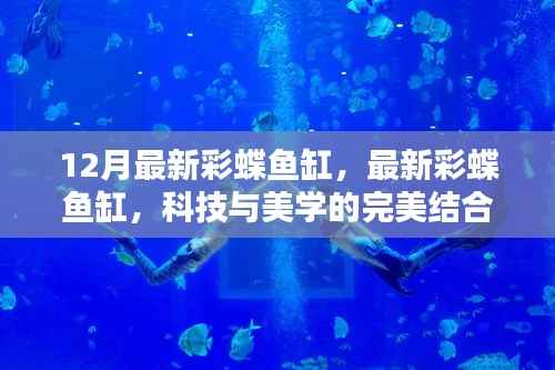 科技与美学完美融合,最新彩蝶鱼缸亮相十二月市场