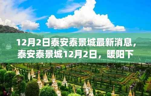 泰安泰景城12月2日暖阳下的日常与友情温馨纽带