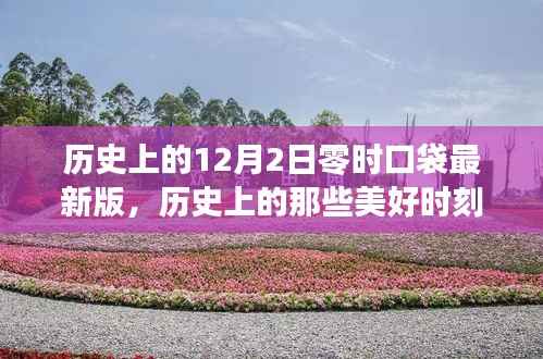 12月2日零时口袋最新版,历史美好时刻与启程自然美景的治愈之旅