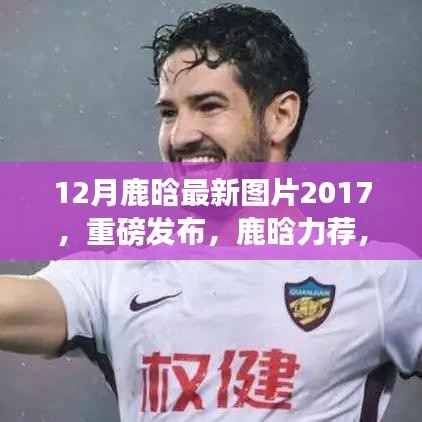 独家揭秘,鹿晗专属版智能生活体验机重磅发布,鹿晗最新图片欣赏