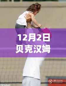 贝克汉姆女儿小七的最新动态,产品特性与体验的全方位解读