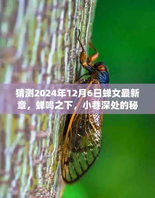 蝉女最新章节猜想,蝉鸣之下探寻小巷深处的秘密特色小店,蝉女未来篇章预测(2024年12月6日)