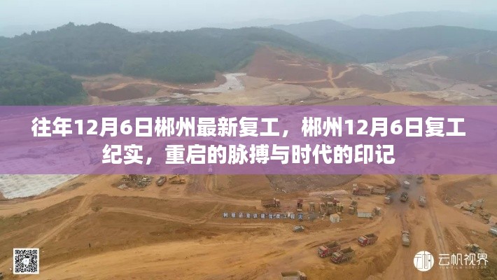 郴州重启脉搏,12月6日复工纪实与时代印记