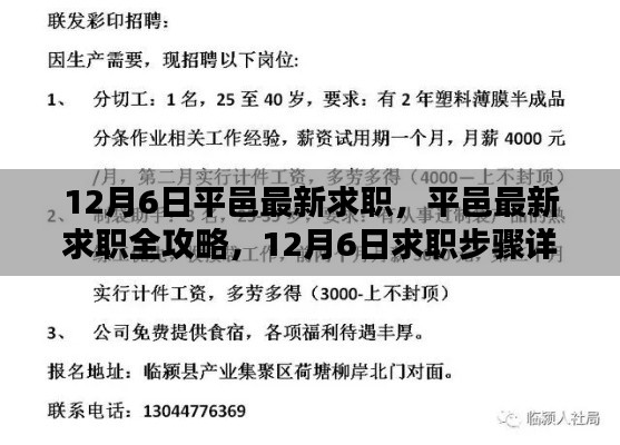 12月6日平邑求职全攻略,轻松找到理想工作的步骤详解