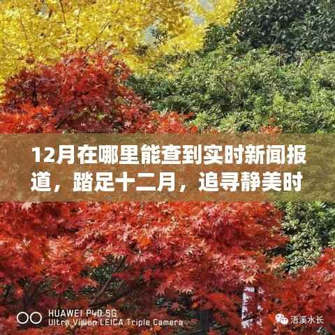 十二月实时新闻报道,与自然对话的旅行艺术,踏足静美时光