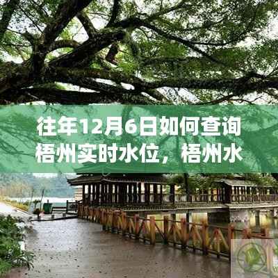 揭秘梧州水韵之旅,如何查询往年12月6日实时水位,寻找心灵宁静与平和的旅程。