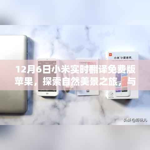 小米实时翻译免费版苹果,探索自然美景之旅的温馨伴侣