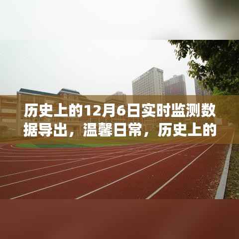 历史上的十二月六日数据之旅,实时监测数据导出与温馨日常回顾