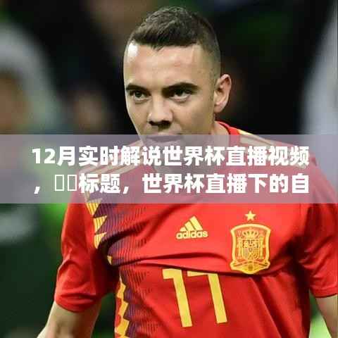 世界杯直播之旅,探寻内心平静的奇妙探险,启程观看12月实时解说世界杯直播视频