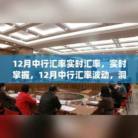 中行实时汇率解析,洞悉波动变化,掌握最新汇率动态