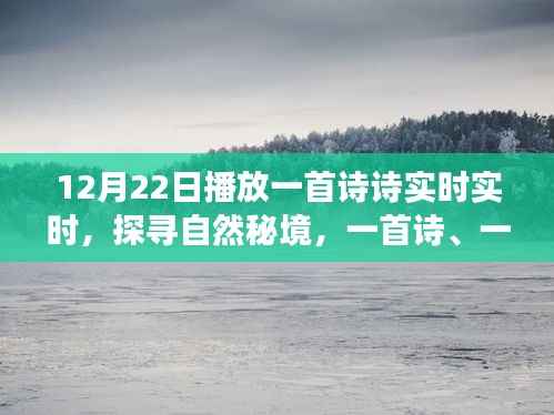 12月22日启程，诗意探寻自然秘境的宁静之旅