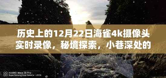 揭秘海雀4K摄像头魔法时刻，秘境探索与小巷深处的特色小店录像纪实