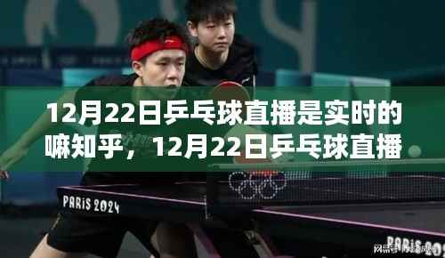 12月22日乒乓球直播,实时对决,热血时刻的热血瞬间回顾